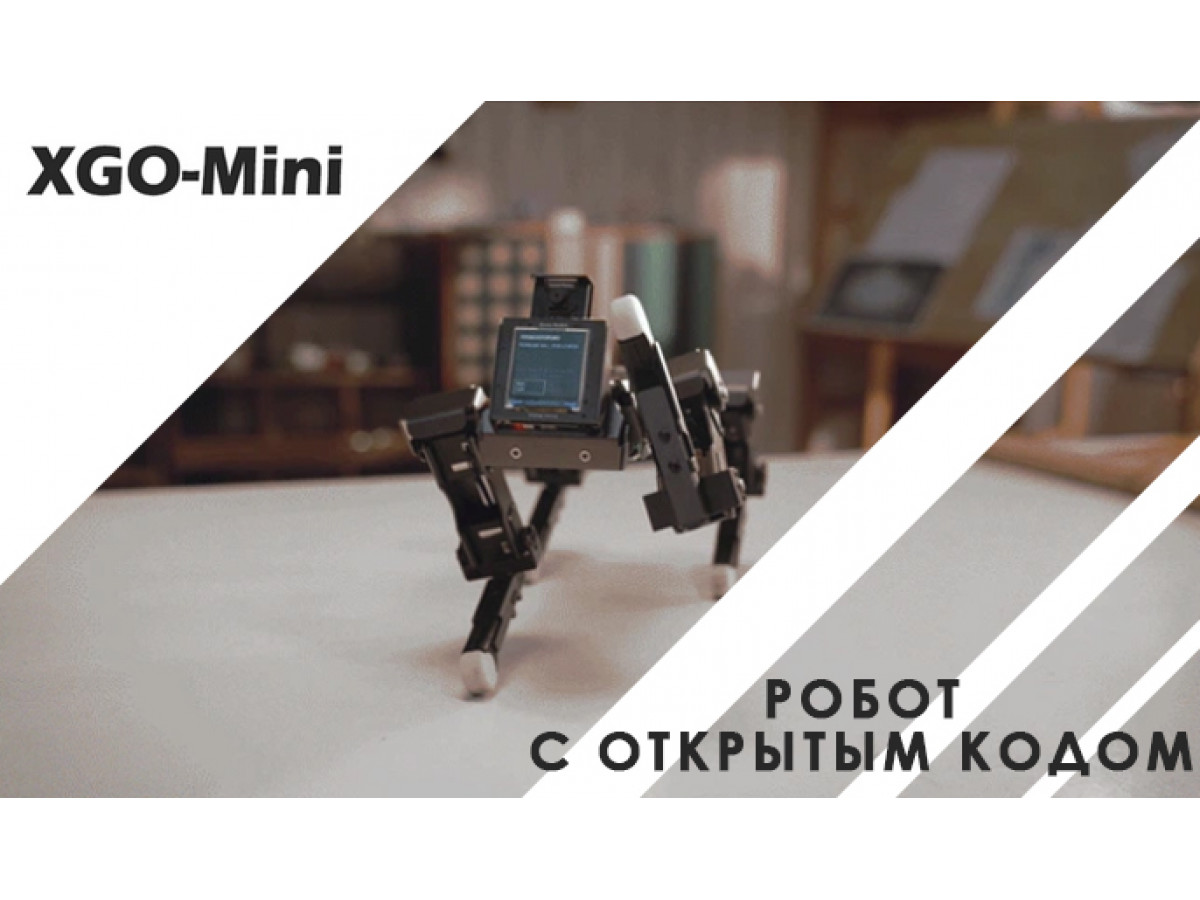 Перспективная разработка: Робот XGO-Mini с ИИ
